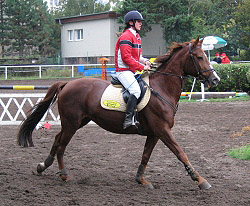 Zvody TJ Moravan 2004