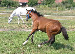  e mn nechyt...??